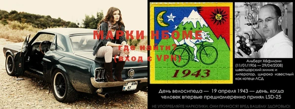 стафф Алзамай