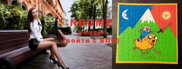 молекула духа Снежногорск