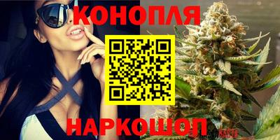 Альфа ПВП Кинель