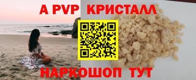 не бодяженный Кингисепп
