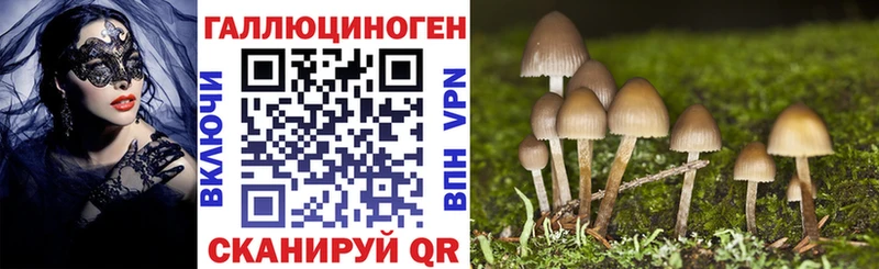 Псилоцибиновые грибы Psilocybe блэк спрут сайт Котлас закладка
