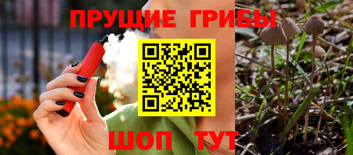 Псилоцибиновые грибы мухоморы  Вход с VPN  Галлюциногенные грибы GOLDEN TEACHER  Котлас 