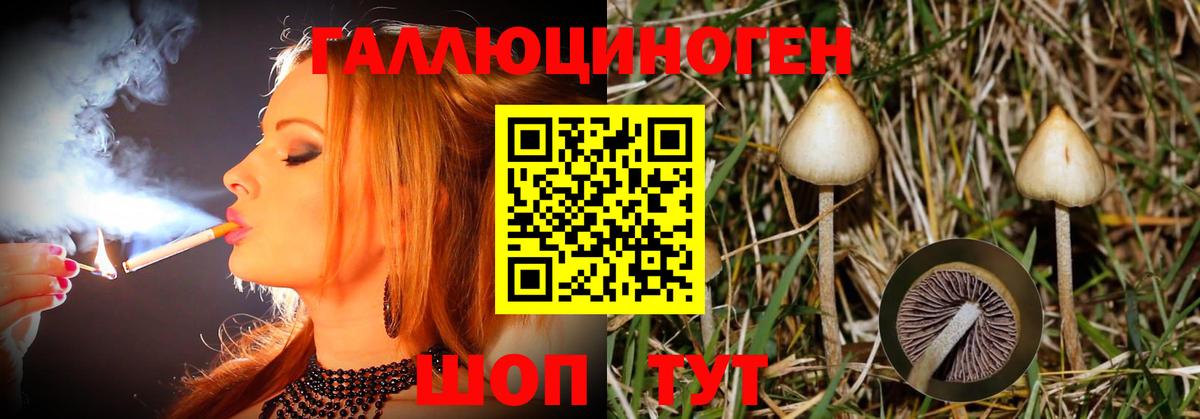 Галлюциногенные грибы мицелий Котлас