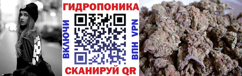 Шишки марихуана Ganja  Котлас 